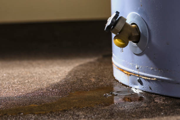 Best Basement water damage restoration  in Flemingsburg, KY