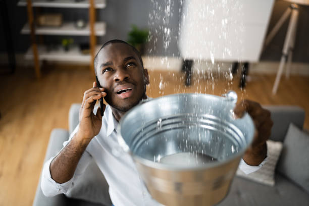 Best Flood damage cleanup  in Flemingsburg, KY