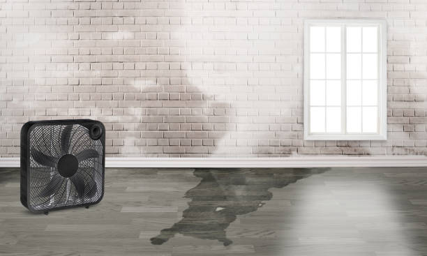 Best 24-hour water damage restoration  in Flemingsburg, KY