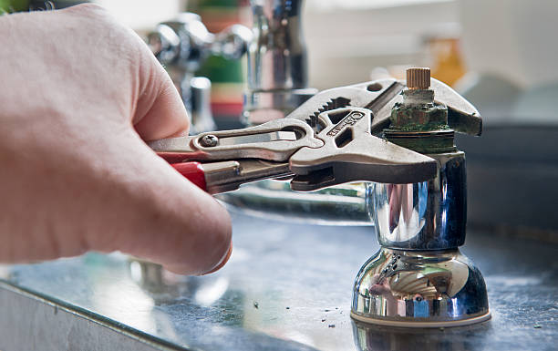 Best Mold removal after water damage  in Flemingsburg, KY
