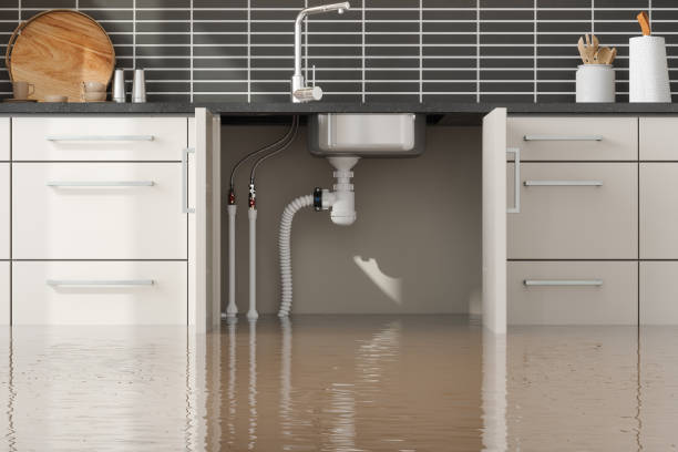 Best Residential water damage restoration  in Flemingsburg, KY